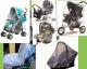 Bertoni Light sport babakocsi 2013