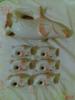 Plinks/ likrs porceln kszlet j