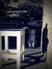 At home. (ilyenez) Tags: white black home typewriter cat albert macska cica ruzsa ilyenez rgp smli rgpmeanstypewriter