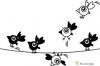 Birds 12 120 70cm kids wall decal wall sticker wall tattoo wall decor Madrkk 2500 120 70cm falmatrica falidekor faltetk szoba dekorci gyerek