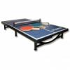 Mini Ping Pong asztal