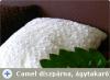 Dszprna s gytakar Camel