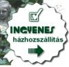 Ingyenes hzhoszllts felttelei Kerti btor lakberendezs lakskultra