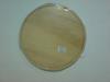 Vgdeszka fa kerek 30cm EN