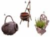 Rattan kermia virgtart 1 cserepes II