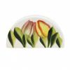 Tulipnos szalvtatart