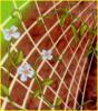 Nvny tart hl 2X10 m