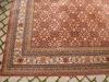 Gynyrsges belga gyapj sznyeg 250x350 ELAD