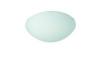 Jeditto fali mennyezeti Bright Light lmpa BRIGHT LIGHT 30171 67 15