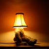 Bear lamp Lmpa maci Otthon lakberendezs Lmpa Hangulatlmpa Meska