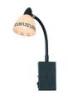 ROMA Globo 5684 1W Falikar Flexo rozsdamentes rusztikus veg antik 1x40W G9 230V