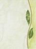 Yasmina Zefir mints csempe Yasmina zefir inserto 25x33 3