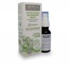 Antifluenza lgfrisst spray Eukaliptusz Borsosmenta Kakukkf