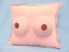 PLSS CICIS PRNA 35x32CM