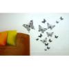 Pillangk falmatrica Az v 60 x 32 cm a matrick tltsz alapon vannak Dekorlhat vele