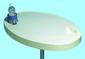 Asztallap fehr ovl 77x51cm