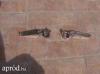 Motoros lbtart Honda lbtart