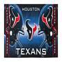 Houston Texans Y12 strand trlkz