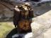 DEUTZ EGYBDatz diesel motor