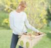 Petite Plante Tbbfunkcis blcs hinta ringat