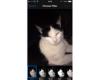 Apple iPhone 5S Filter Select in Photos