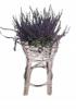 Rattan virgtart 1 cserepes
