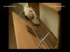 Cip s ruhatrol elszoba szekrny Egger Fino bronce laminlt sznben http www styleform hu http www fuggony butor hu