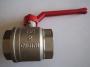 Golyscsap Olasz 2 BB REMER