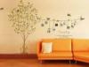 Falmatrica falimatrica fali matrica Tree of life