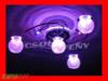 Eva led lmpa oplos csillogssal ajndk tvirnytval