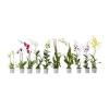 ORCHIDACEAE szobanvny vegyes keverk orchidea cserp tmr 12 cm nvny magassg 60 cm