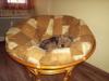 Rattan fotel papassan