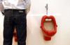 WC kagyl