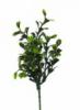 Mvirg mnvny BUXUS PICK 20 CM 1390787