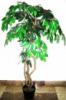 Mvirg mnvny FICUS FA 120 CM ZLD C 4018