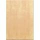 S-Kuba 2 25x36 falicsempe