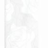 25x50 3 Falicsempe