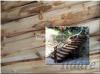 Hirdetsek Farnk lpcs Faanyagok