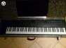 Kurzweil PC88 mx Digitlis Zongora