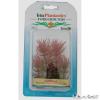 Tetra mnvny XXS Red Foxtail E1