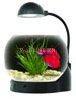 Aqua el minibowl betta florrium 2 5 L akvrium szett gmb