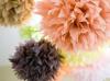 Wedding Decoration 10pc 10 Tissue Paper Pom Poms Flower Balls Party Baby Shower