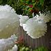DIY Wedding Tissue Paper Puffballs