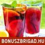 Egyszemlyes koktl ngyszemlyes ftyls vdr vagy ngyszemlyes alkoholmentes mojit a Dali Cafban 50 59 kedvezmnnyel