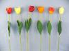 TULIPN SZLAS 65CM225Rszletek