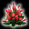ltalban a kvetkez virgfajtk kaphatak nlunk flaming szegf gerbera rzsa liliom orientl liliom frzia csokros krizantm risz kla