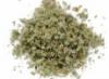 FSTL SPICE HERBAL MIX BIOF