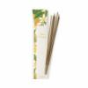 Esteban Paris fstl plca fleur d oranger 20 db