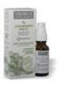 AROMAX LGFRISST SPRAY EUKA BORSMENT 20 ml
