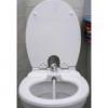 A poliszter mgyanta kivitel Toilette Nett bid WC lke bid berendezsek exkluzv megjelenskkel a legmagasabb eszttikai ignyt is kielgtik mg a kedvezbb ru duroplast manyagbl kszlt Toi